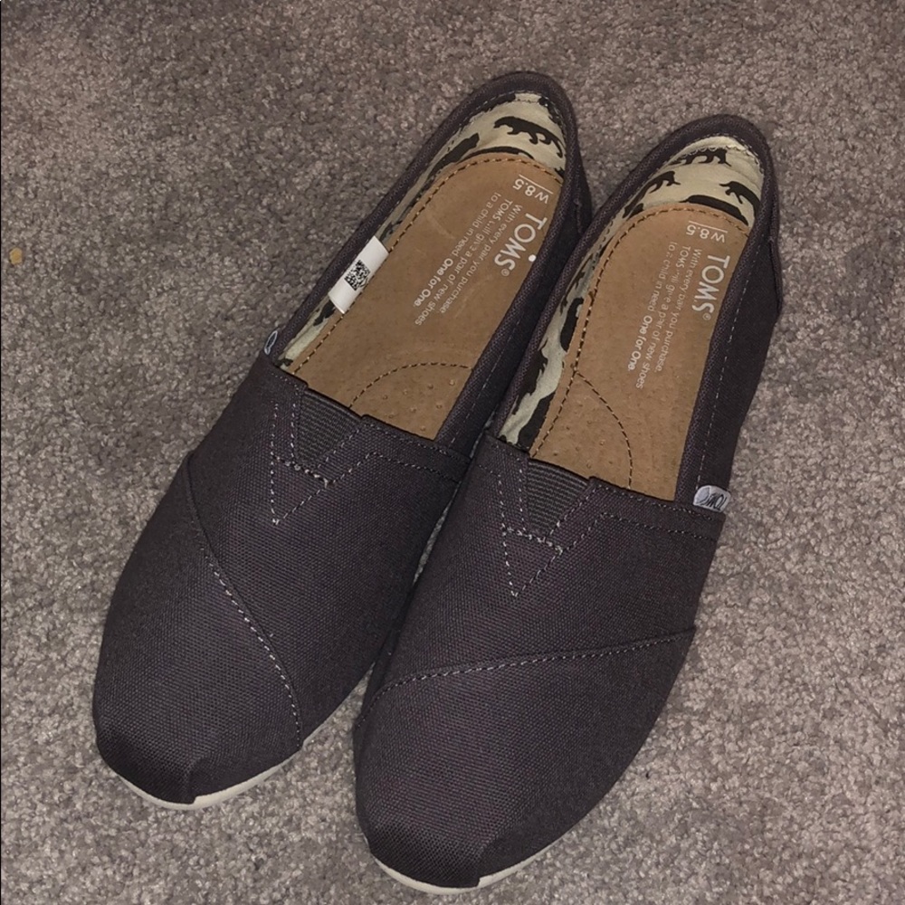 Gray Toms